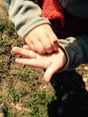 enfant et coquecinelle